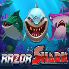 Razor Shark at Rainbet Casino