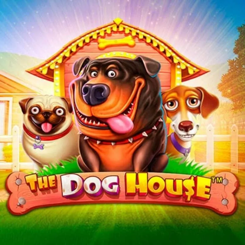 The Dog House at Rainbet Casino
