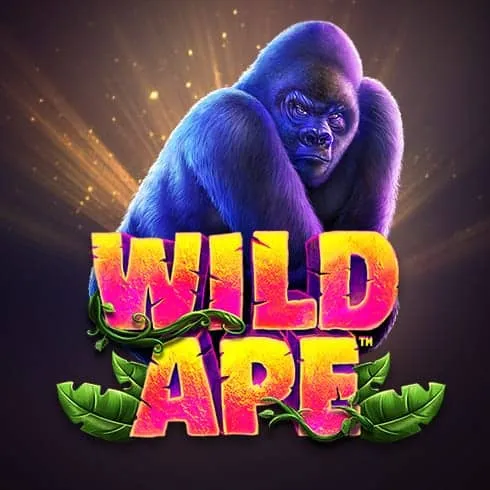 Wild Ape at Rainbet Casino